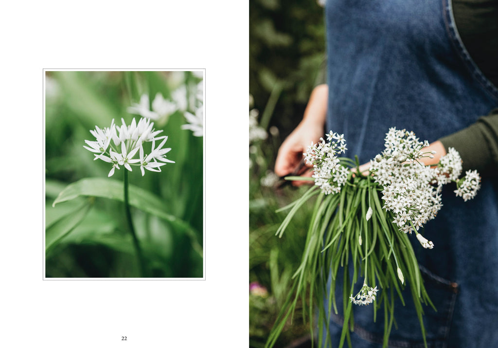 Living With Herbs