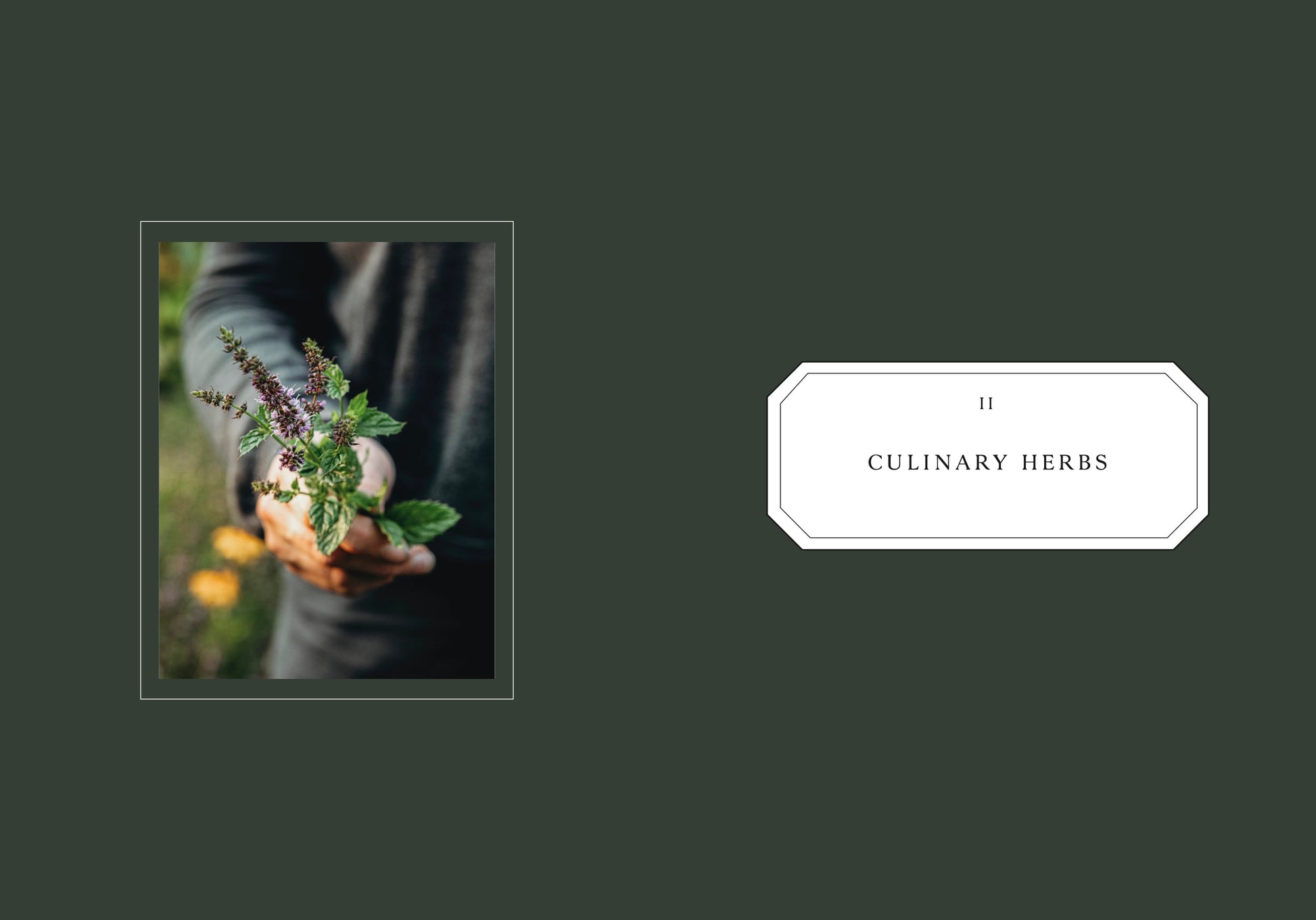 Living With Herbs