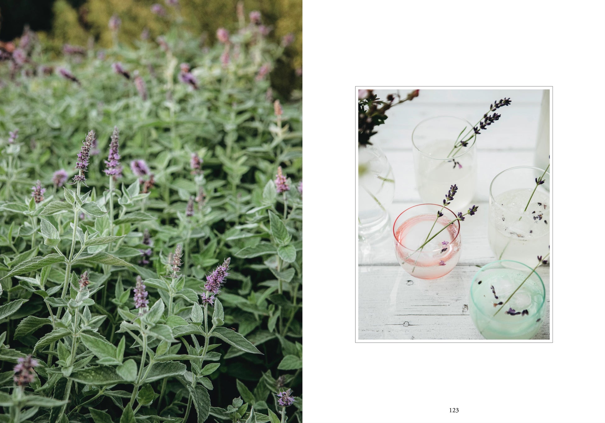 Living With Herbs